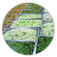 餐飲管理公司食品簡(jiǎn)加工類(lèi)特別專(zhuān)欄 提升效率與品質(zhì)的管理策略